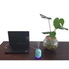 Little Bird Ultrasonic USB Cool Mist Humidifier