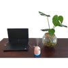 Little Bird Ultrasonic USB Cool Mist Humidifier